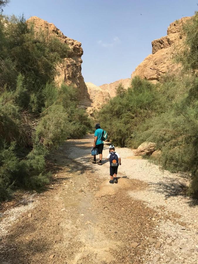 Desert Chilling - סתלבט במדבר Villa Neot HaKikar Exterior photo
